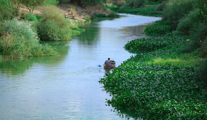 نهر العاصي